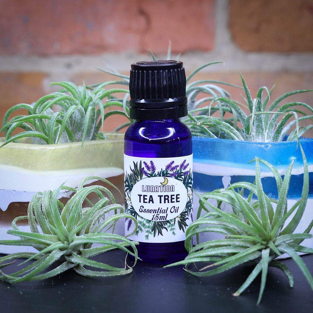 Tea Tree Essential Oil 15ml LS